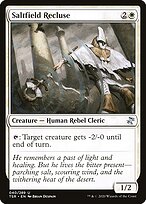 Saltfield Recluse #40