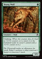 Young Wolf #227