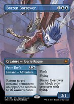 Brazen Borrower // Petty Theft #30