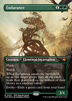 Endurance #53