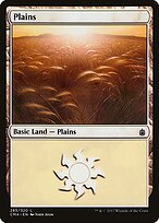 Plains #285