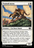 Trained Arynx #36