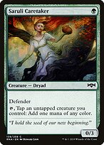 Saruli Caretaker #139