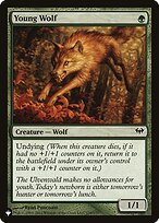 Young Wolf #DKA-134