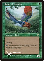 Birds of Paradise #231★