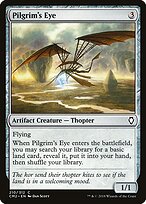 Pilgrim's Eye #210