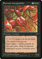 Carrion Ants #51