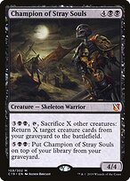 Champion of Stray Souls #109