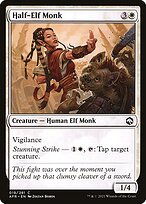 Half-Elf Monk #19