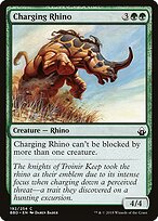 Charging Rhino #192