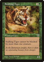 Stalking Tiger #243
