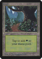 Forest #295