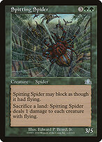 Spitting Spider #125