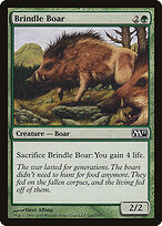 Brindle Boar #166
