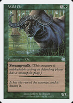 Wild Ox #151