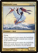 Sawtooth Loon #17
