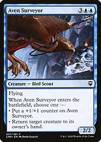 Aven Surveyor #57