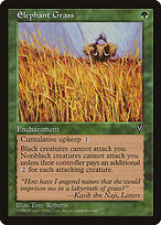 Elephant Grass #104
