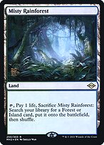 Misty Rainforest #250s