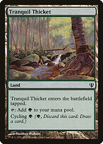 Tranquil Thicket #135