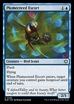 Plumecreed Escort #65