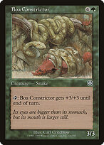 Boa Constrictor #231