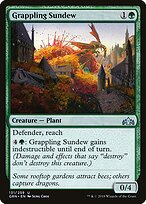 Grappling Sundew #131