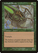 Goliath Beetle #107