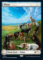 Plains #1513