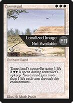 Farmstead #19