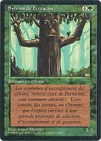 Ironroot Treefolk #204