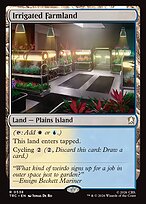 Irrigated Farmland #538