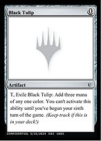 Black Tulip #UA01a