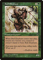 Bull Elephant #101
