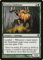 Grazing Gladehart #147