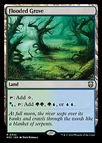 Flooded Grove #342