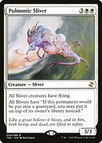 Pulmonic Sliver #34