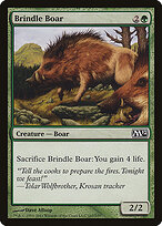 Brindle Boar #167