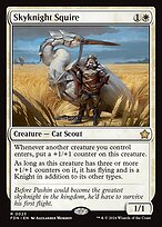 Skyknight Squire #23