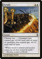 Fortify #19