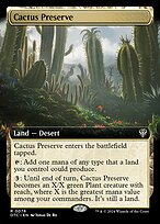 Cactus Preserve #76