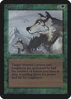 Aspect of Wolf #184