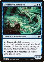Streambed Aquitects #18