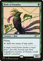 Birds of Paradise #92