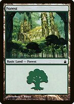 Forest #305