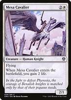 Mesa Cavalier #26
