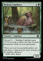 Basking Capybara #175