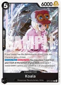 Koala #OP13-081