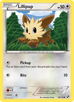 Lillipup #80