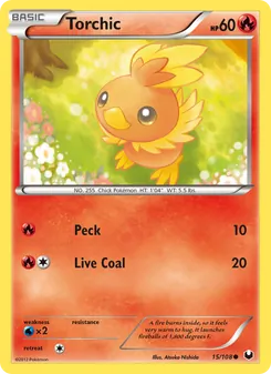 Torchic #15